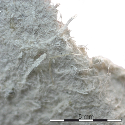 Detailaufnahme von Asbestfasern in einer Baustoffplatte