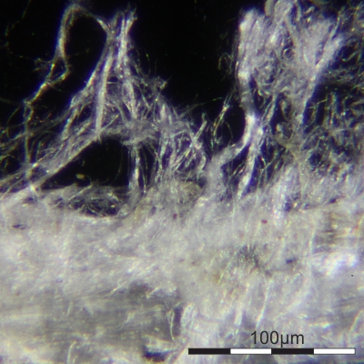 Mikroskopische Aufnahme von feinen Asbestfasern